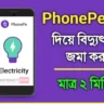 Electricity Bill Payment Through PhonePe App
