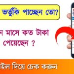 LPG Subsidy Check online through mobile phone