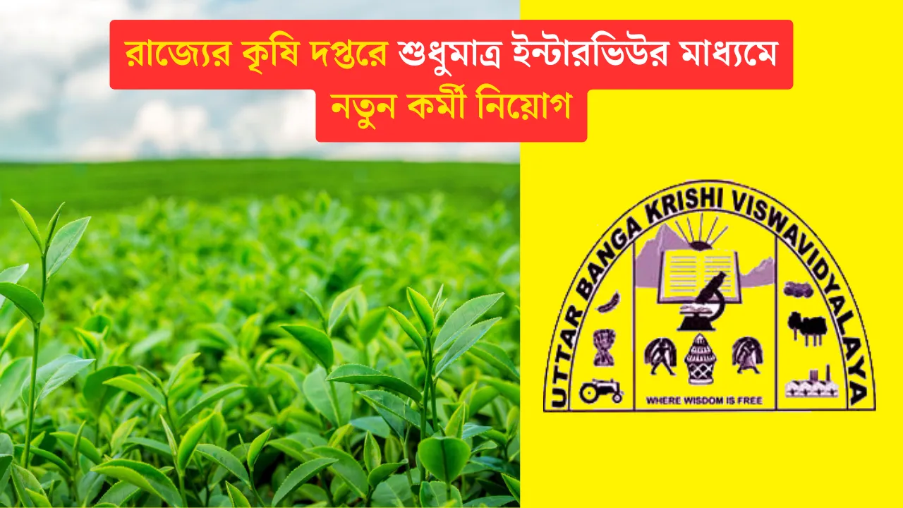 UBKV Recruitment 2024